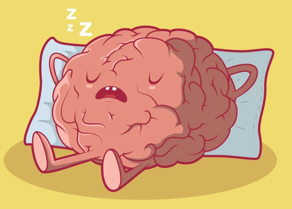 Do You Want to Improve Your Brain Health? Start with Better Sleep Habits