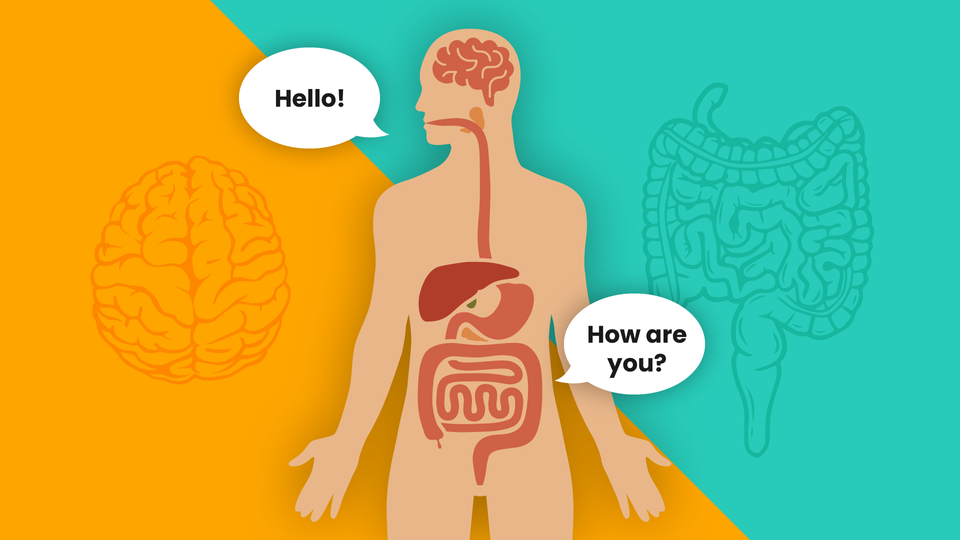 From Mood to Food: How Your Gut Microbiome Shapes Your Every Day